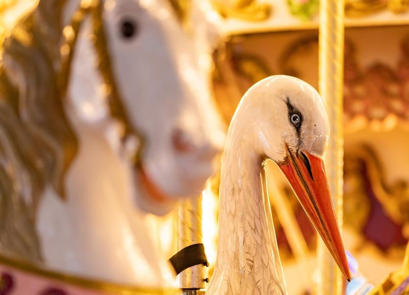 Activités en famille au cœur du marché de Noël