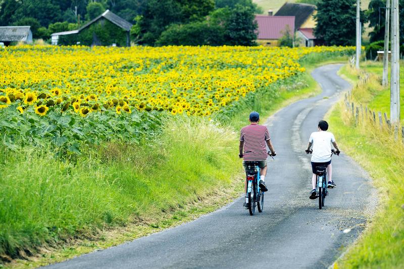 3 Courses cyclistes (U15, U17 &amp; toutes catégories)