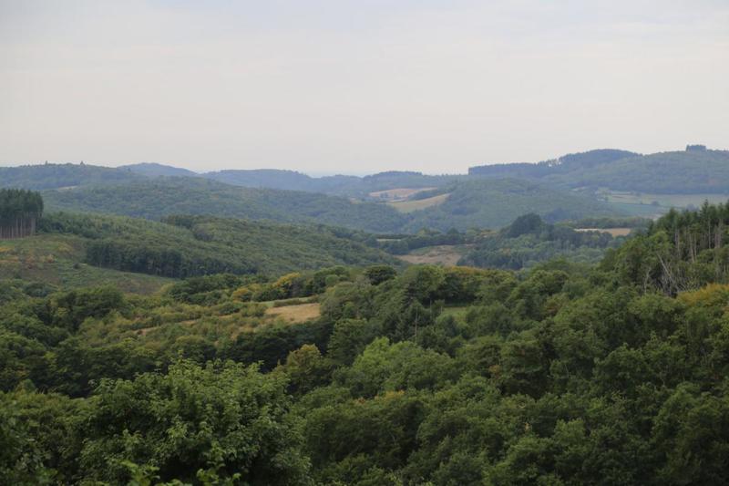 Pavillon - 270 m² - 7 pièces