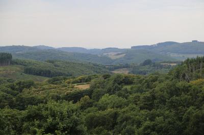 Pavillon - 270 m² - 7 pièces