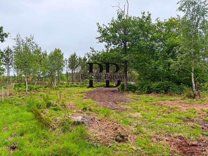 Terrain de loisirs - 2 327 m²