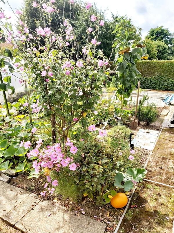 Maison - 117 m² - 7 pièces