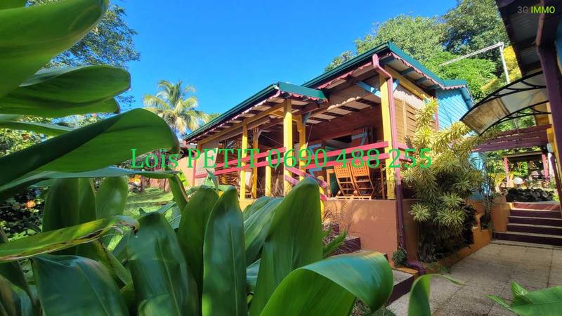 Maison - 367 m² - 11 pièces