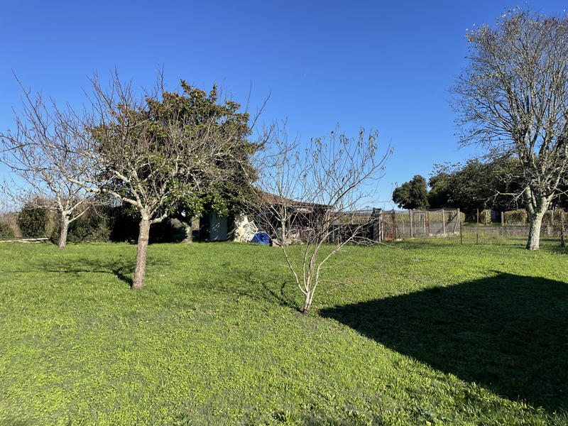 Maison - 242 m² - 7 pièces