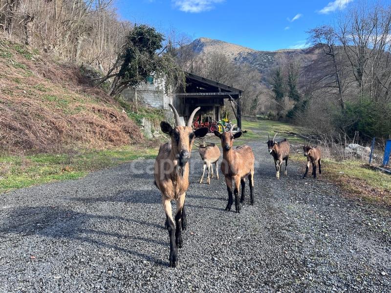 Maison - 89 m² - 4 pièces