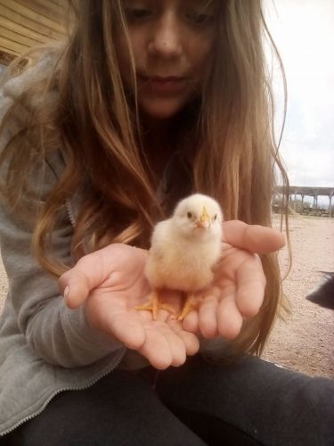 Ferme Pédagogique de la Moulerette