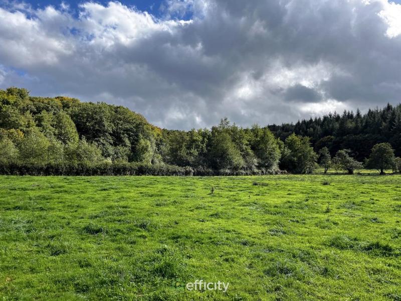 Maison en pierre - 136 m² - 4 pièces