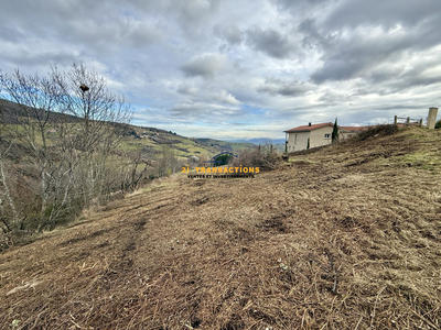 Terrain - 1 035 m²