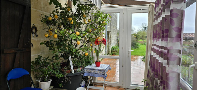 Viager - Maison - 118 m² - 6 pièces