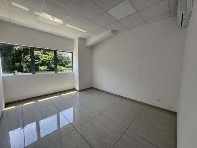 Bureau - 380 m² - 4 pièces