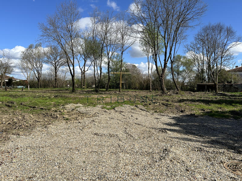 Terrain - 667 m²
