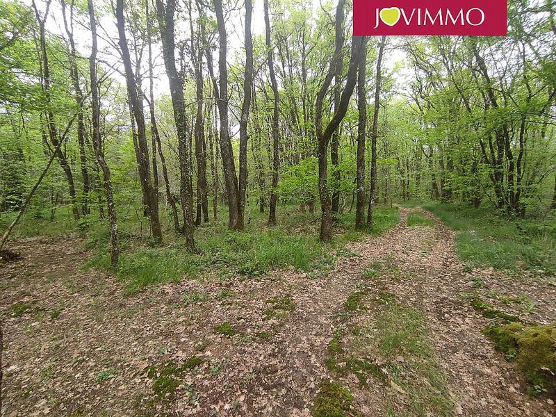 Terrain - 100 000 m²