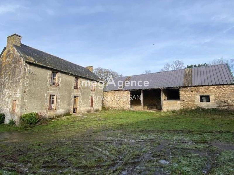 Maison - 330 m² - 5 pièces