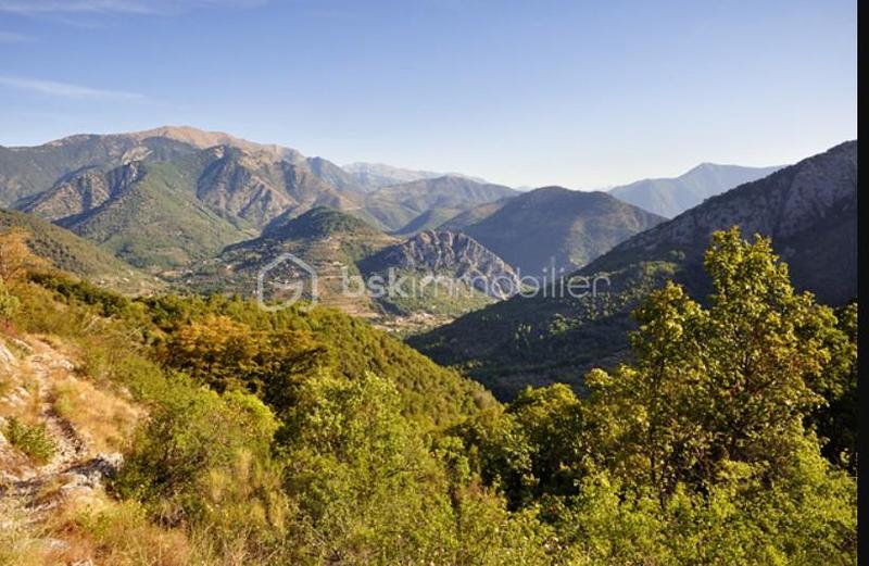 Forêt - 100 435 m²