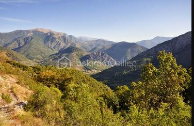 Forêt - 100 435 m²