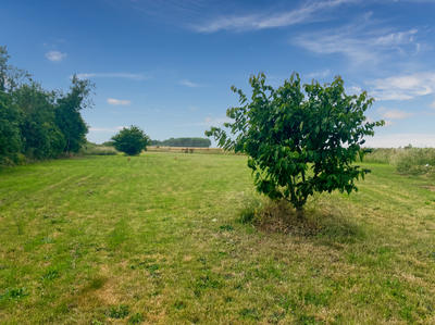 Terrain - 2 948 m²