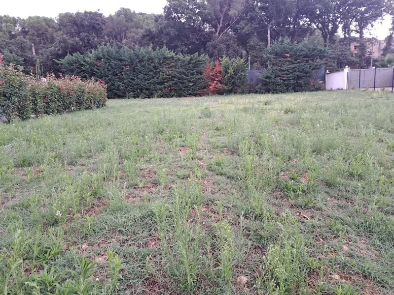 Terrain constructible - 900 m²