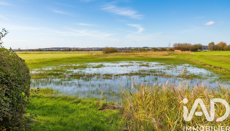 Terrain agricole - 5 567 m²