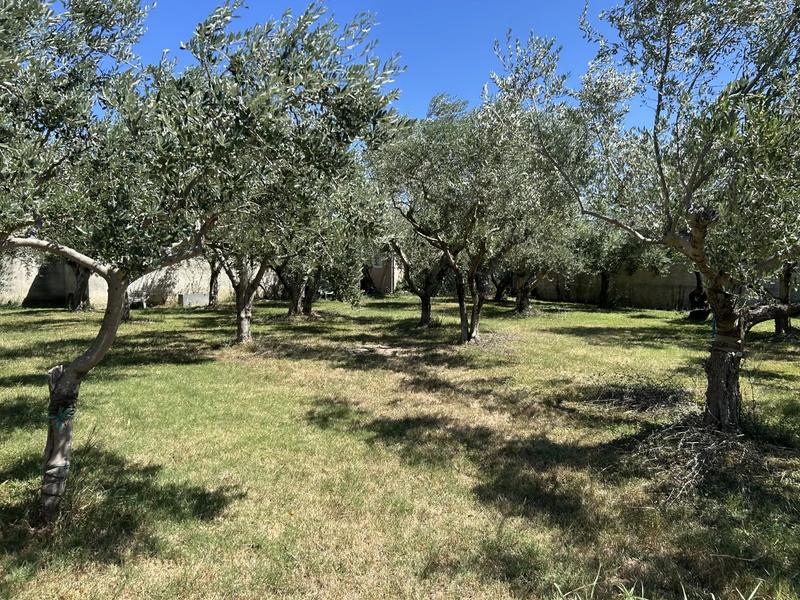 Terrain constructible - 409 m²