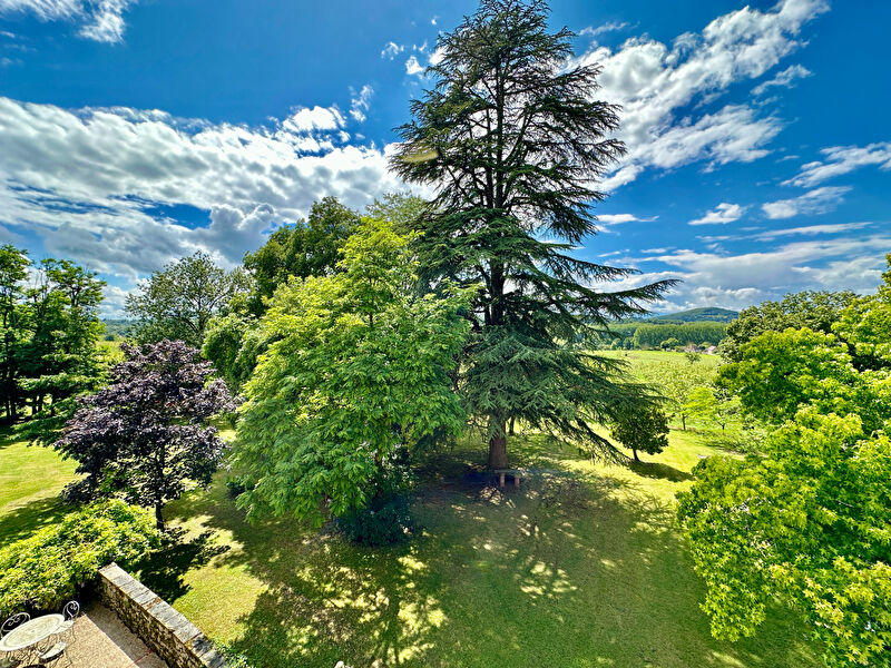 Maison bourgeoise - 415 m² - 11 pièces