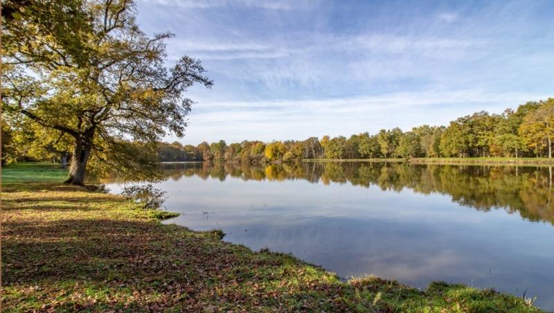 Manoir - 2 800 m² - 50 pièces