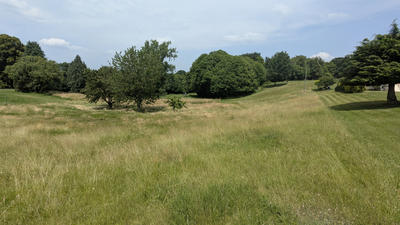 Terrain - 1 850 m²