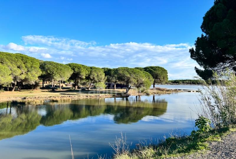 Appartement - 100 m² - 5 pièces