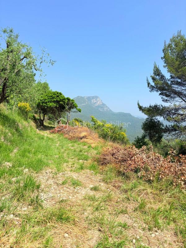 Terrain - 1 562 m²