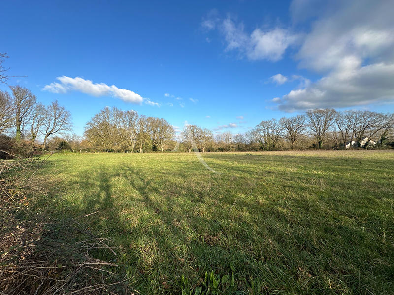 Maison - 151 m² - 7 pièces