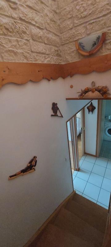 Appartement - 50 m² - 3 pièces