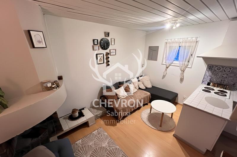 Duplex - 33 m² - 2 pièces