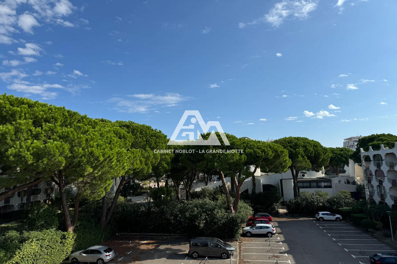 Appartement - 21 m² - 1 pièce