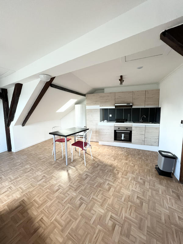 Loft - 49 m² - 2 pièces
