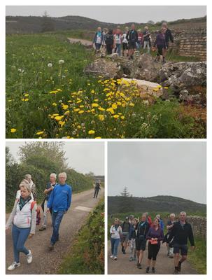 Sur les Pas du Vigneron