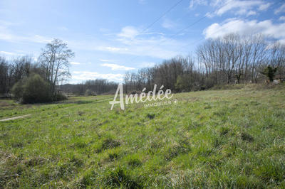 Terrain - 11 647 m²