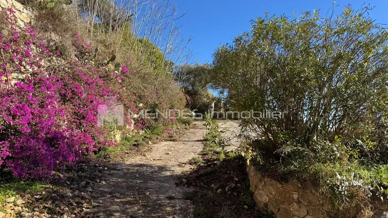 Villa - 597 m² - 11 pièces