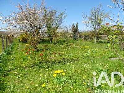 Maison - 143 m² - 5 pièces