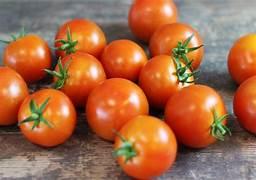 Le Goût des Saisons