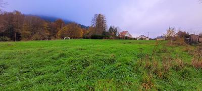 Terrain - 4 919 m²