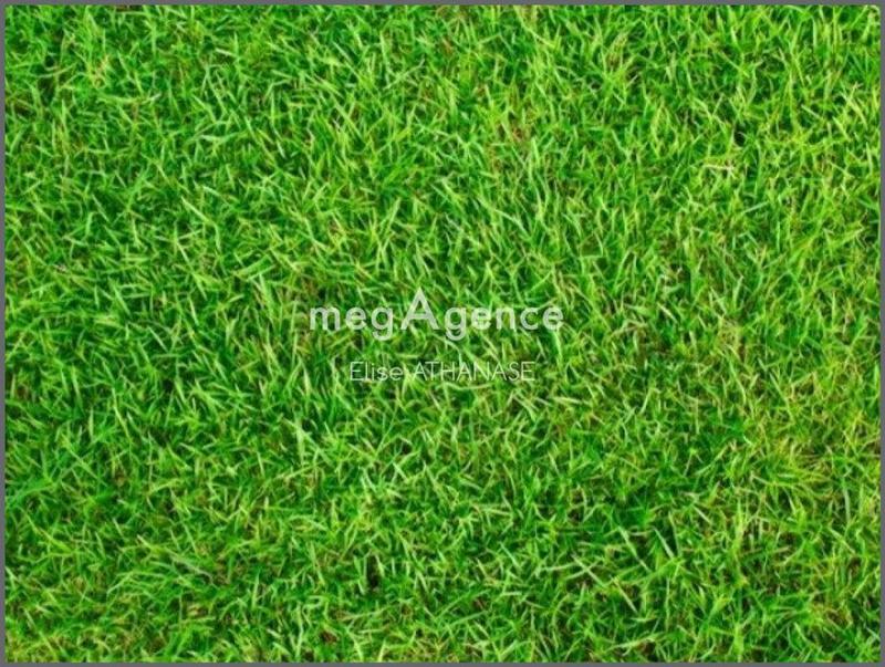 Terrain constructible - 377 m²