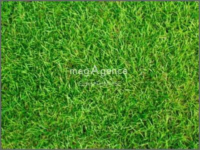 Terrain constructible - 377 m²