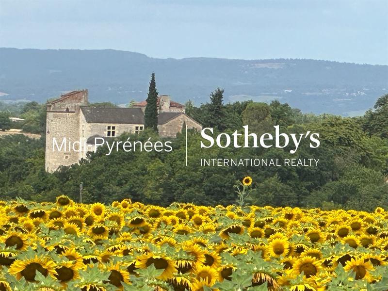 Château - 470 m² - 12 pièces