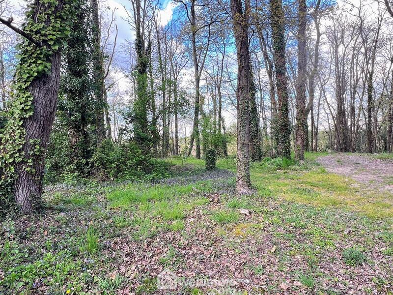 Maison - 148 m² - 5 pièces