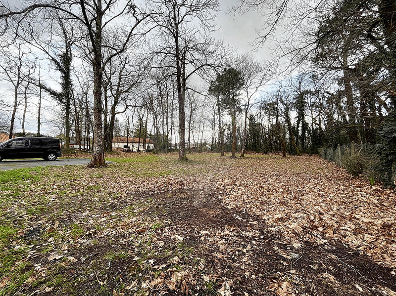 Propriété - 155 m² - 5 pièces