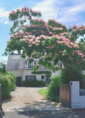 Maison - 178 m² - 8 pièces