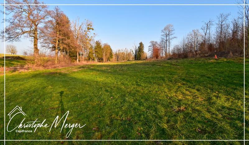 Maison de campagne - 490 m² - 15 pièces