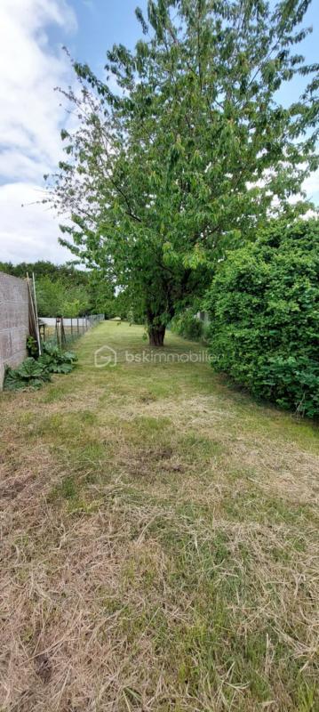 Maison - 1 204 m² - 4 pièces