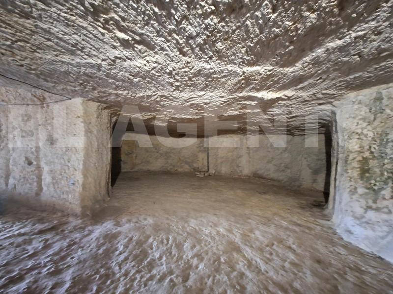 Maison - 220 m² - 8 pièces