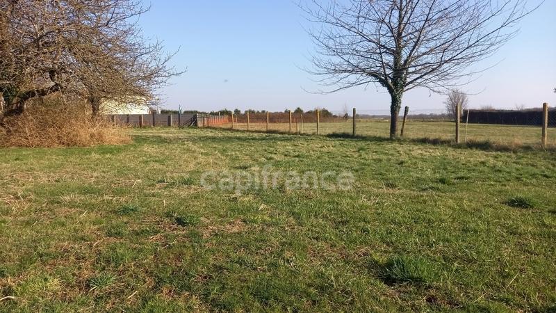 Terrain constructible - 1 288 m²