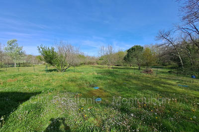 Terrain - 2 223 m²